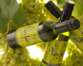 Масло Виноградной Косточки рафинированное